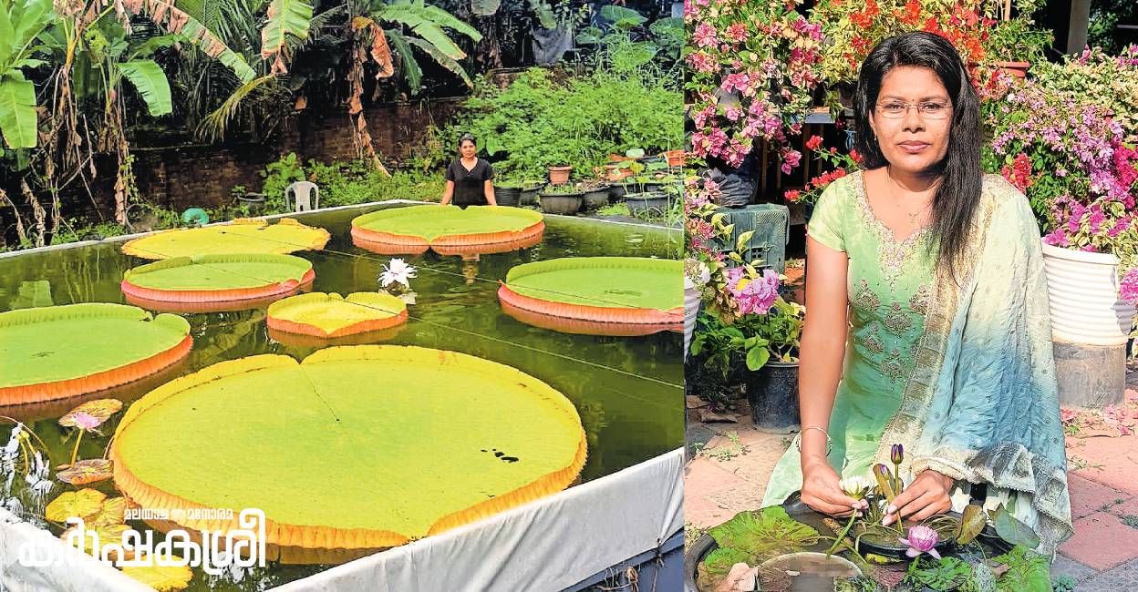 Thrissur woman turns blooms on water into a thriving online enterprise